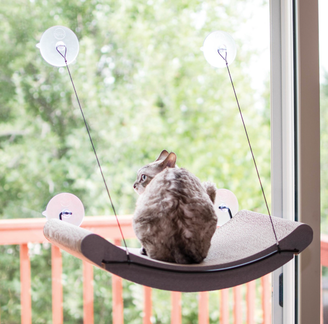 A cat relaxing on a window hammock
