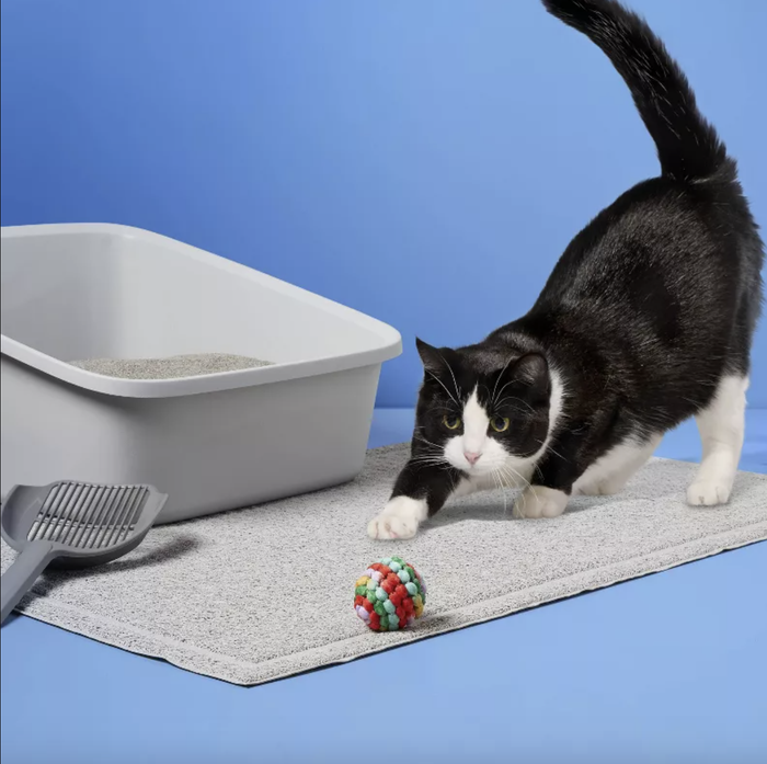 A playful cat batting at a colorful ball near a litter box and scoop, all placed on a mat. A perfect addition to your pet accessory collection.