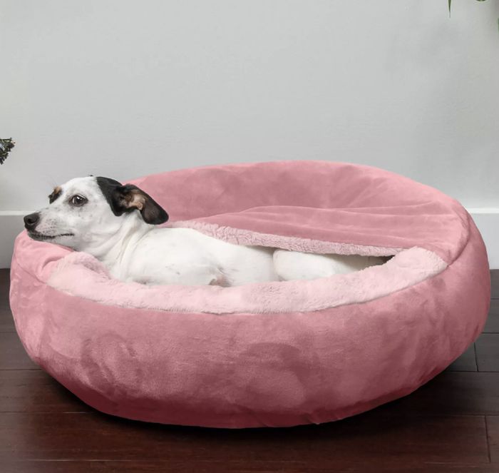 A small dog curled up on a pink bed