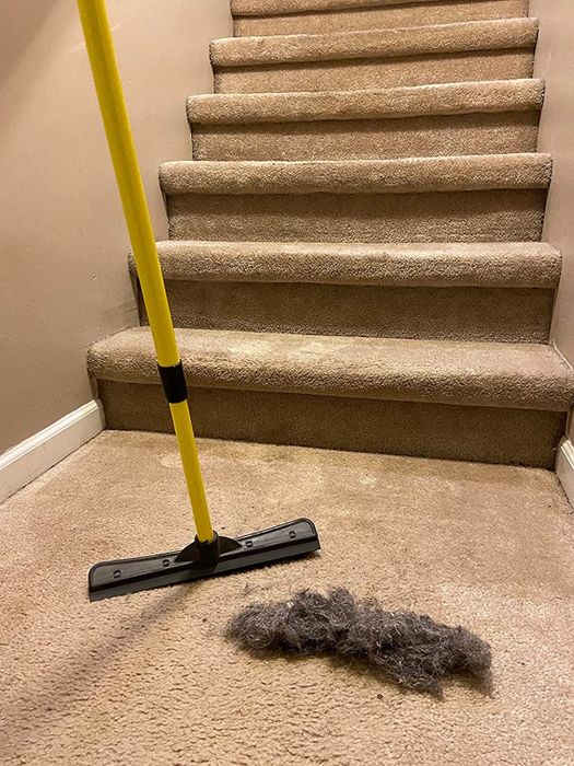 reviewer image of the broom placed beside a pile of collected fur on a carpet