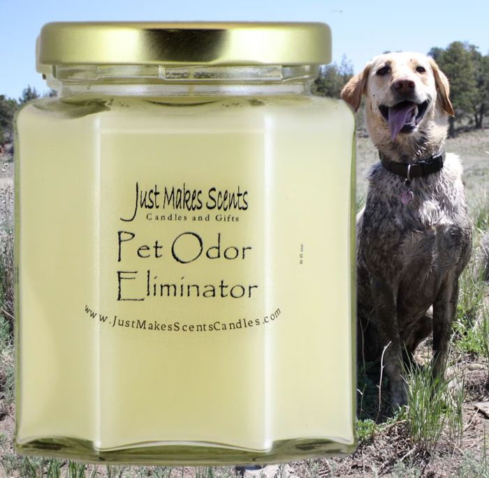 A candle designed to eliminate pet odors, featuring a smiling dog in the background outdoors.