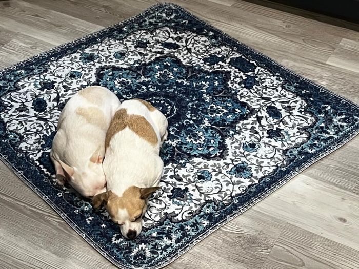 Two dogs lounging on a decorative waterproof pee pad designed to resemble a rug