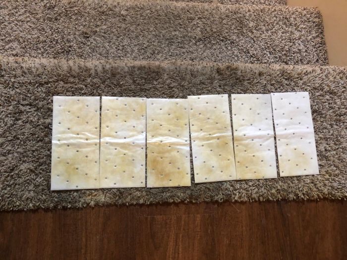 reviewer image showing multiple used stain removal pads on carpeted stairs