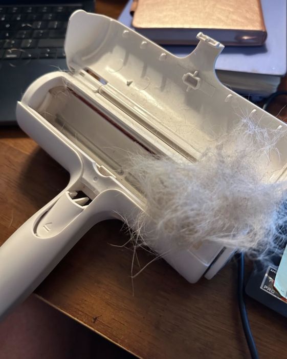 A handheld pet hair remover with a fur clump rests next to a laptop and notebook on a desk