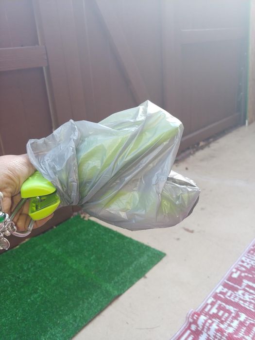 image of the reviewer holding the scooper with a bag securely placed over the scoop