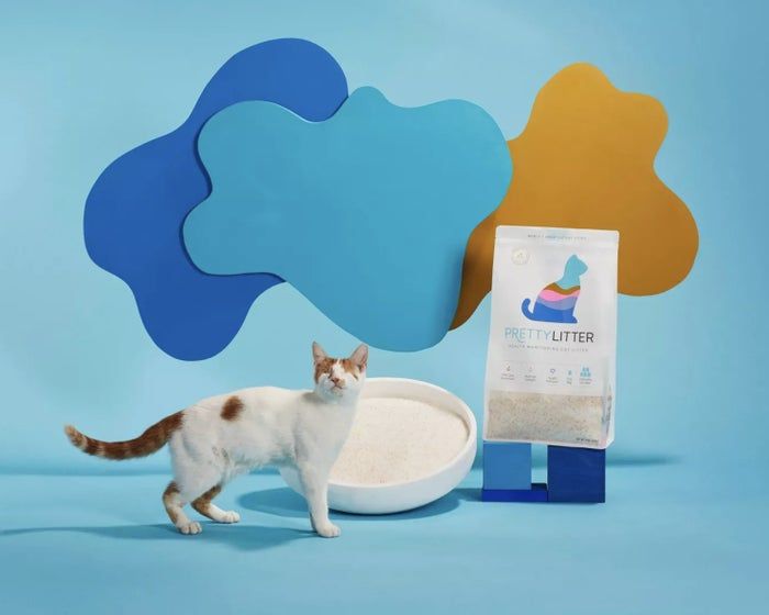 A cat sitting in front of a litter box filled with PrettyLitter