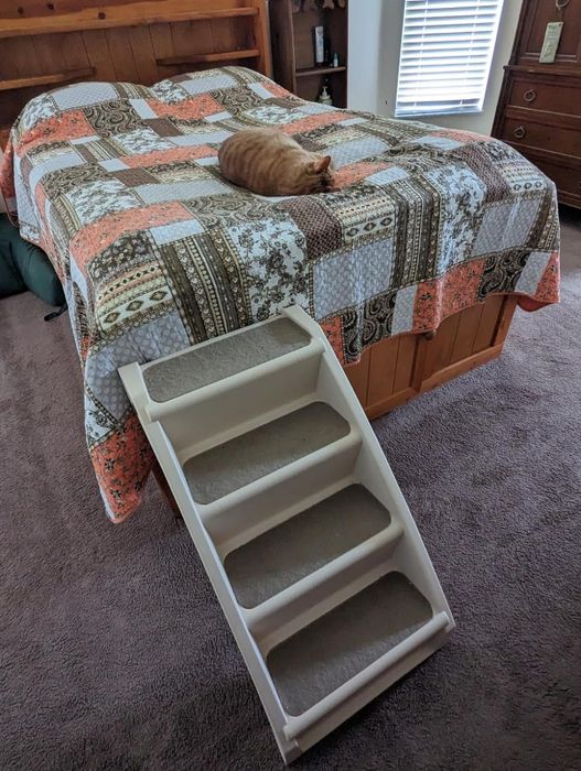A pet staircase leading to a bed where a cat is comfortably resting