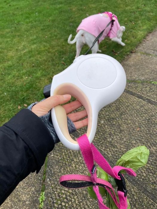 A person holding a retractable leash while walking a dog dressed in a pink outfit