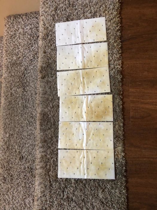 The stomp 'n' go carpet cleaning pads are positioned on a carpet, showcasing their effectiveness as they tackle pet messes. Several pads illustrate the impressive results of cleaning stains caused by pets.