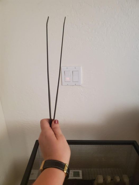 A reviewer holding black metal tongs in front of a cage