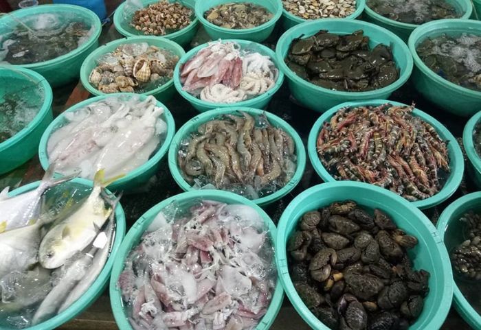 Khám phá bãi biển Lộ Diêu: vẻ đẹp hoang sơ đầy mê hoặc 14