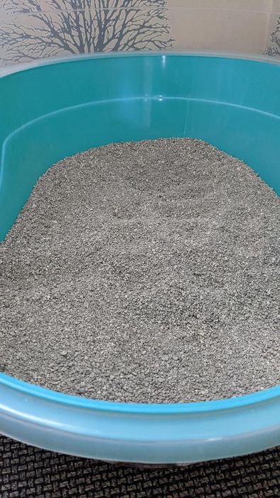 A reviewer’s photo of the litter in use