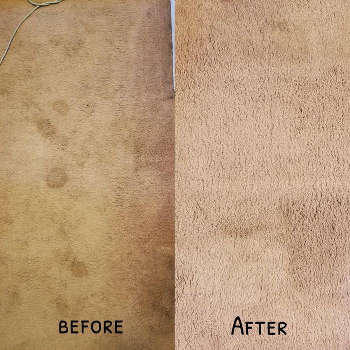Before-and-after photos showing a stained carpet transformed into a spotless one
