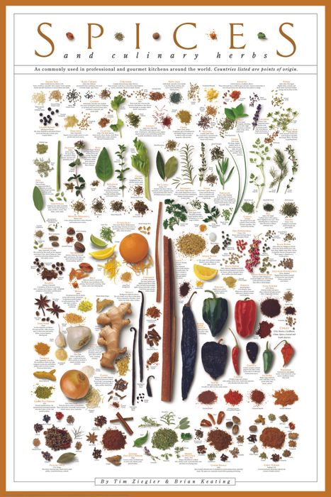 The poster featuring images of spices, their names, and descriptive notes