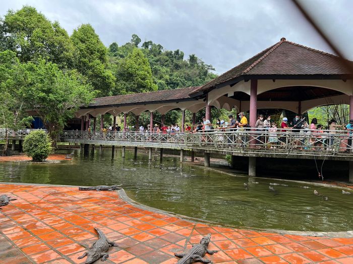 Yang Bay Tourist Park Image 2