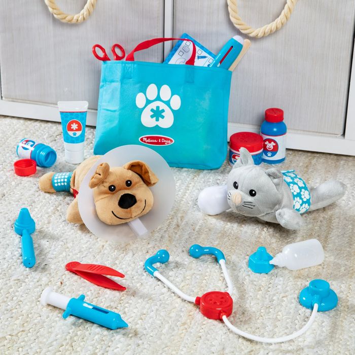 A toy vet kit featuring a plush cat and dog, medical tools, and a blue tote bag. The toys are neatly arranged on a carpet, showcasing a vet-themed playset