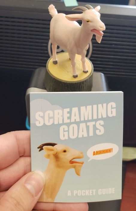 A hilarious screaming goat alongside a mini booklet showcasing the antics of screaming goats.