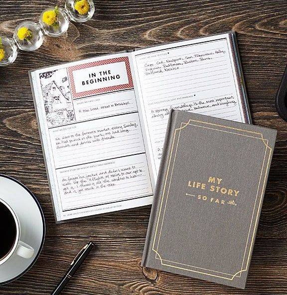 The journal opened to a section titled "in the beginning" with multiple prompts to complete.