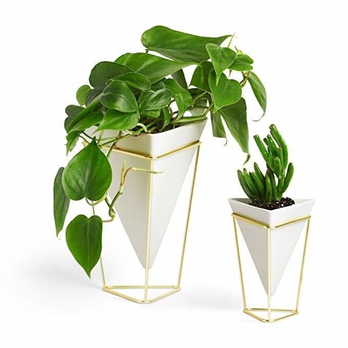 The small and tall planters, each featuring white triangular pots with gold wire bases.
