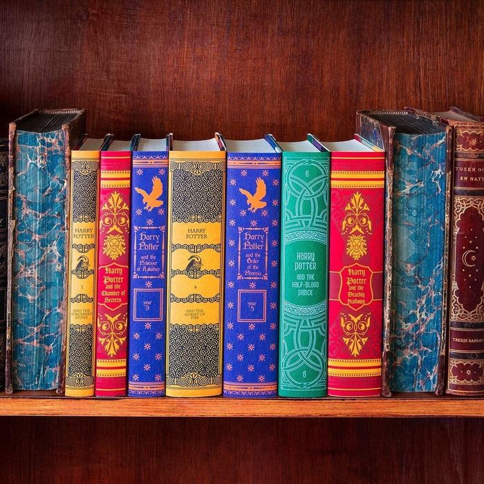 A close-up view of the spines of each book neatly arranged on a bookshelf