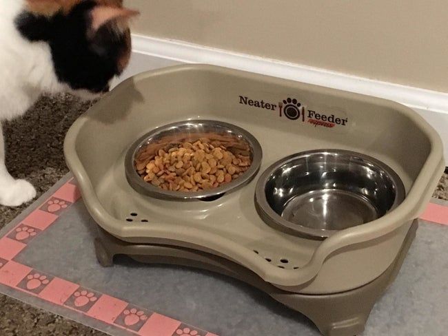 a reviewer’s photo showing the feeder in use, with one bowl filled with water and the other containing dry cat food