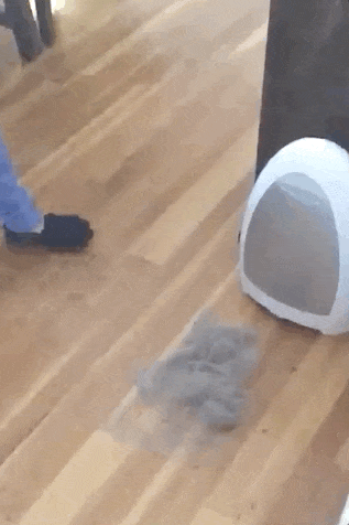 A GIF of a reviewer sweeping hair into the vacuum, which instantly sucks it up