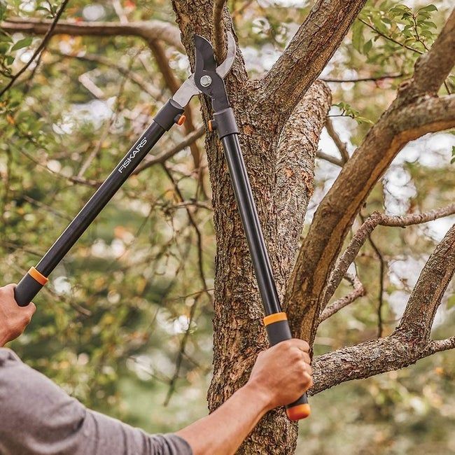 a person demonstrating the use of an extended-handle pruning tool to slice through a thick branch