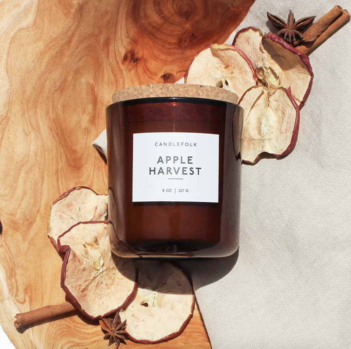 A candle surrounded by dried apples, cinnamon sticks, and cloves, creating a cozy ambiance.