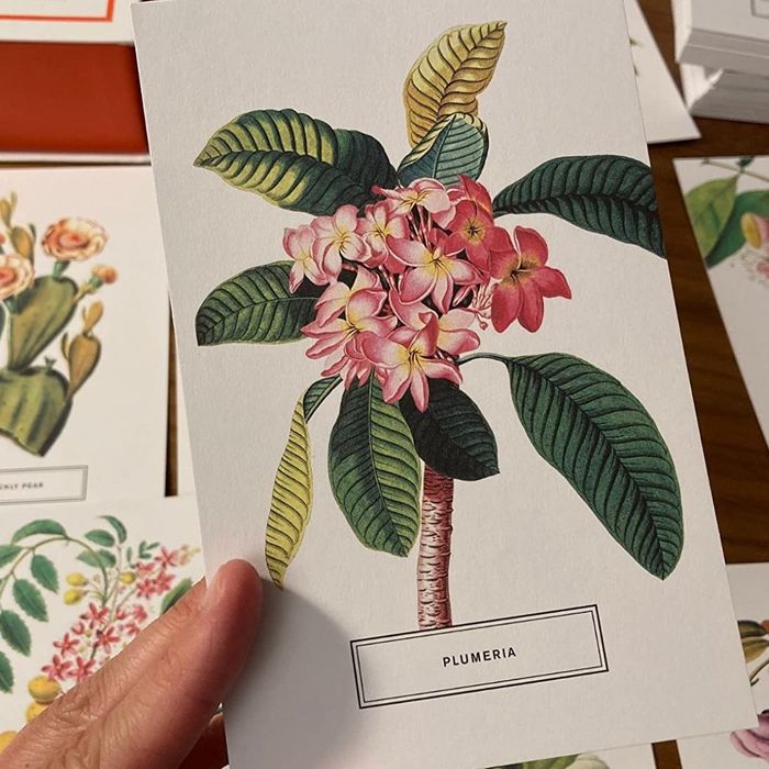The reviewer holds one of the postcards from the collection, showing off the intricate botanical illustrations.