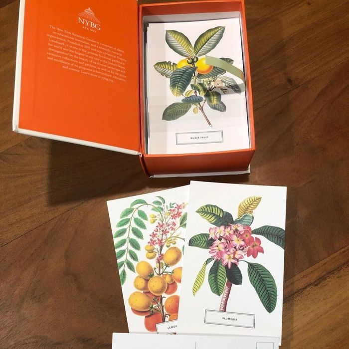 The reviewer’s box of postcards is partially opened, with several cards displayed on a table, offering a glimpse of the stunning floral art.
