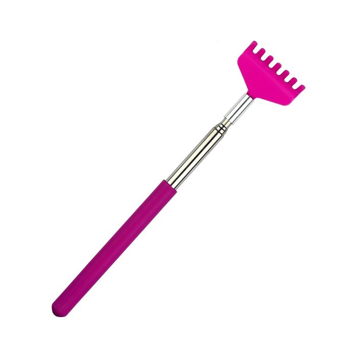 the back scratcher
