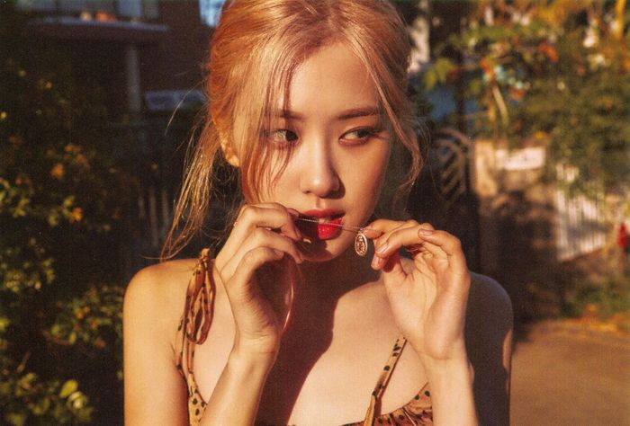 Pair of sleek brown Chelsea rain boots