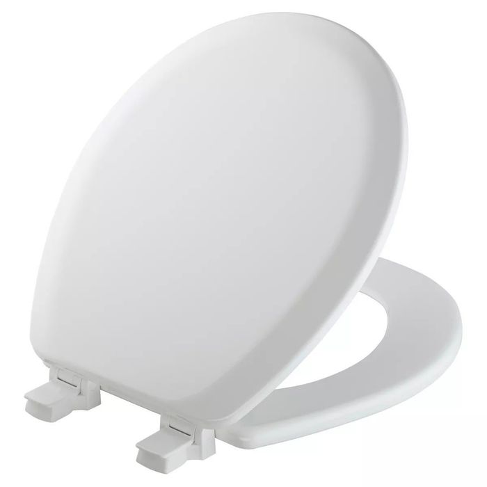 the white toilet seat