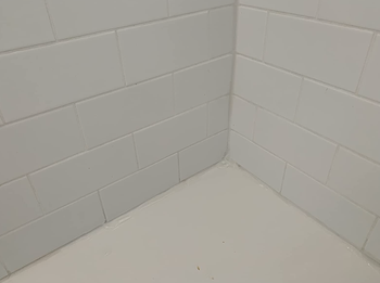 the same reviewer's photo demonstrating the complete disappearance of mold after applying the removal gel