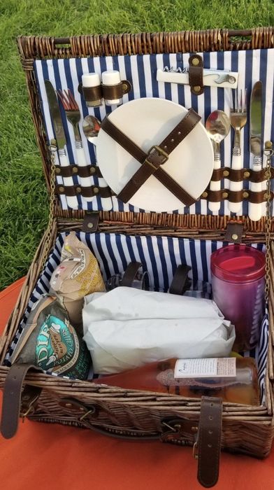 the picnic set complete with food and drinks inside