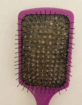 a reviewer's before photo of a hairbrush clogged with lint and debris