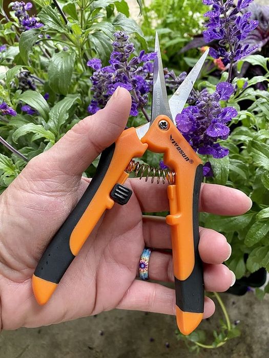 A reviewer’s hand holding a pair of orange and black shears, showcasing their practical design.