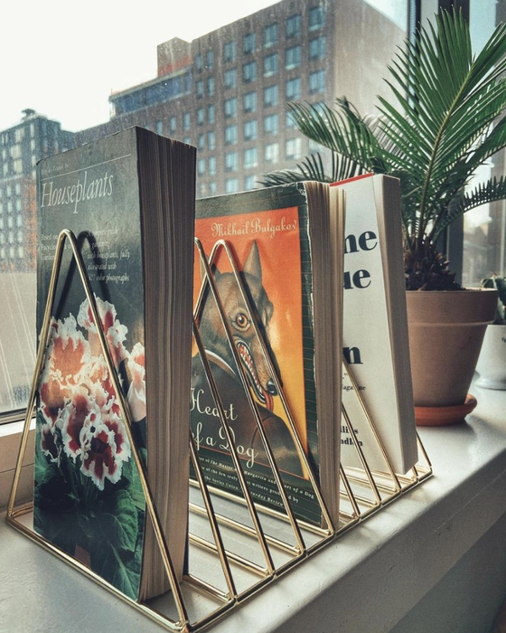 The same organizer in a gold finish, perfect for storing books on plant care