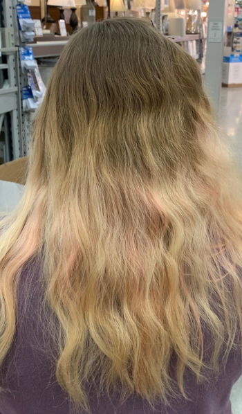 A reviewer's dry, frizzy hair before using the product