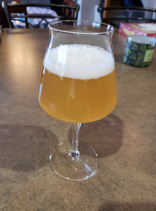 A Teku glass filled with a cold, refreshing beer.