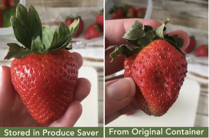 A Mytour Shopping reviewer's photo comparing a strawberry stored in the Rubbermaid container (still fresh) with one kept in its original clamshell (noticeably soft and mushy)