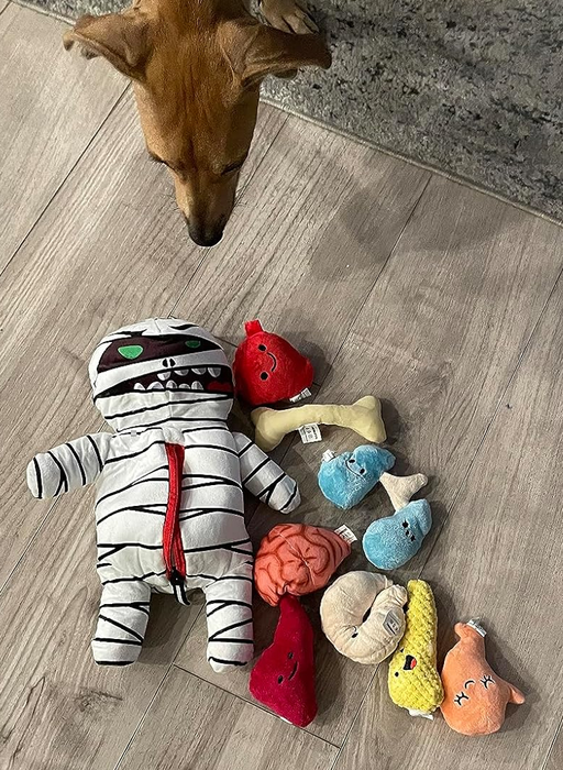 Reviewer photo of the mummy toy and its stuffed organs
