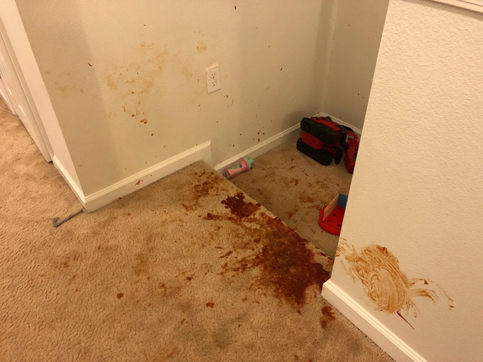 Carpet with a full bottle of ketchup spilled across it