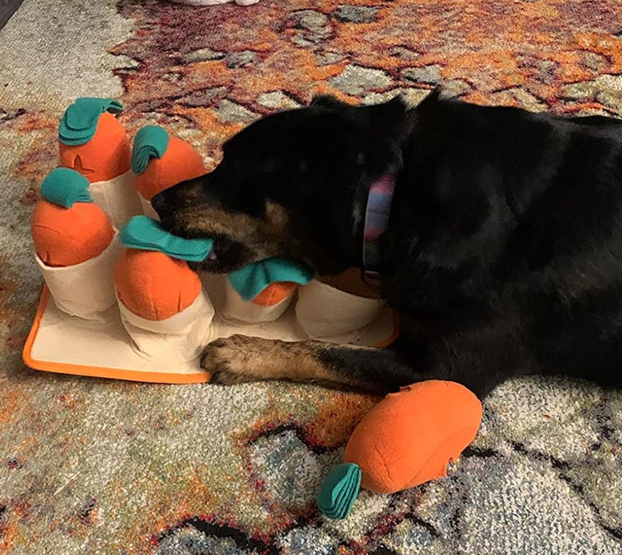 Reviewer's photo capturing a large dog playfully biting into a carrot