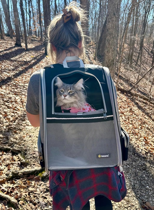 A person stands on a woodland trail with a backpack-style pet carrier, where a cat adorned with a pink bow peeks out curiously.