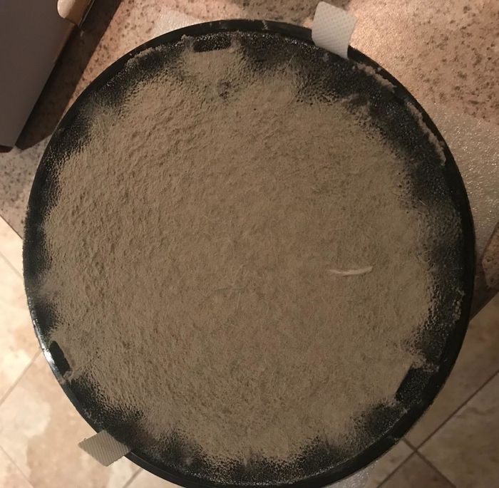 A photo shared by a reviewer displaying the filter and the significant amount of dust it has captured