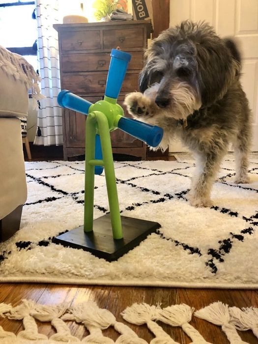 Photo from a reviewer showing a dog pawing at the windmill toy
