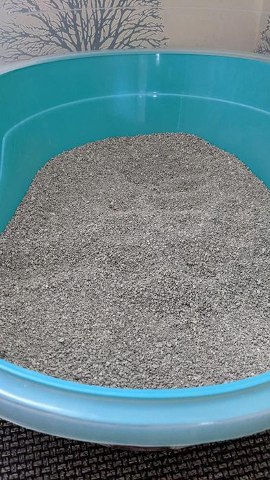 a litter box containing Dr. Elsey's high-quality litter