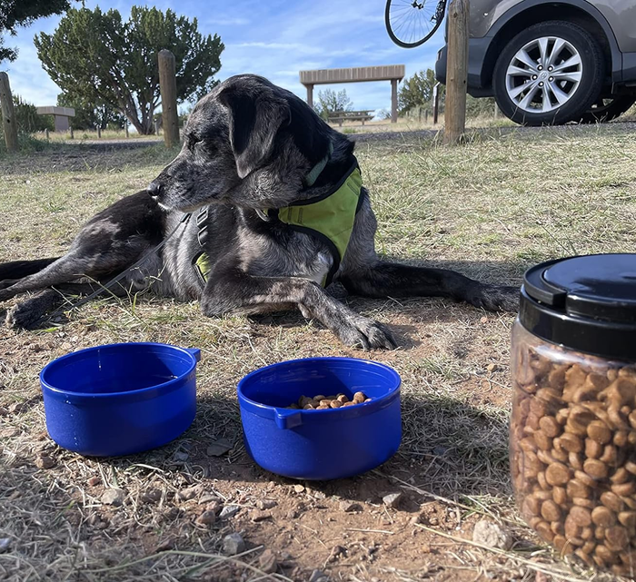 A dog dressed in a vest relaxes beside two bowls and a jar of dog treats, set against an outdoor backdrop near a vehicle.