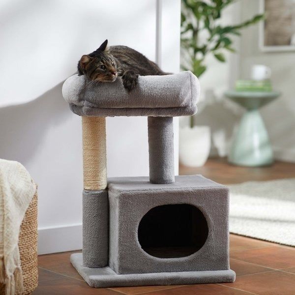 A cat resting on a compact two-tier gray cat tree, complete with a scratching post and cubby for lounging.